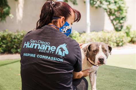 san diego humane society|More.